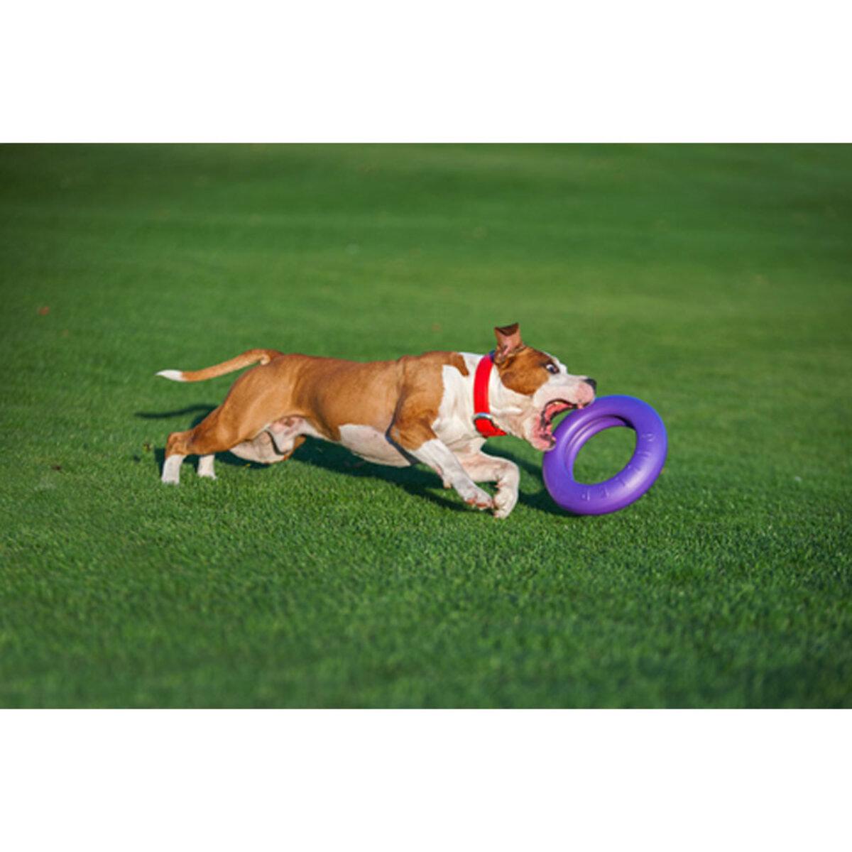 Тренувальний снаряд для собак PULLER Мaxi D 30 см (25881235) - фото 9 Тренувальний снаряд для собак PULLER Мaxi D 30 см (25881235) - фото 9