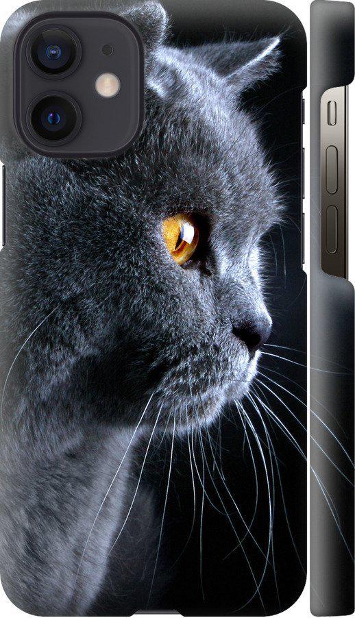 Чехол на iPhone 12 Mini Красивый кот (3038c-2071-42517)