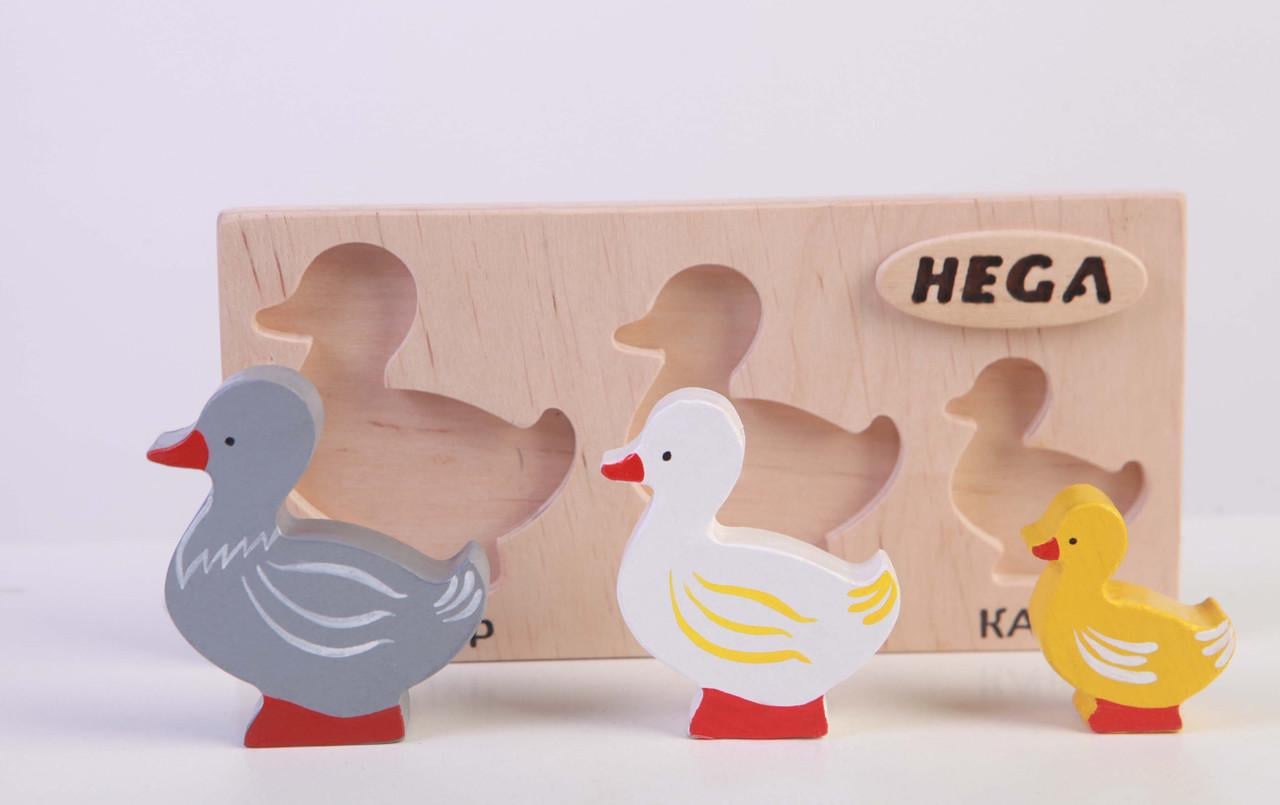 Набор рамка-вкладыш HEGA Утки с объёмными фигурками и карточками (127)