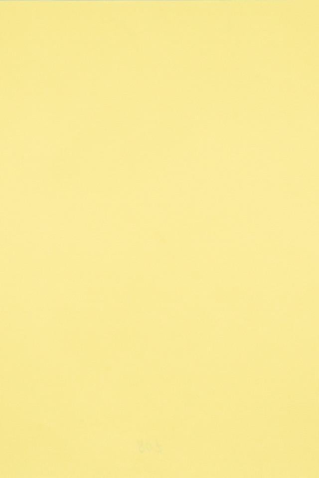 Рулонная штора NewTex Амели LUX 52х165 см Светло-желтый (807)