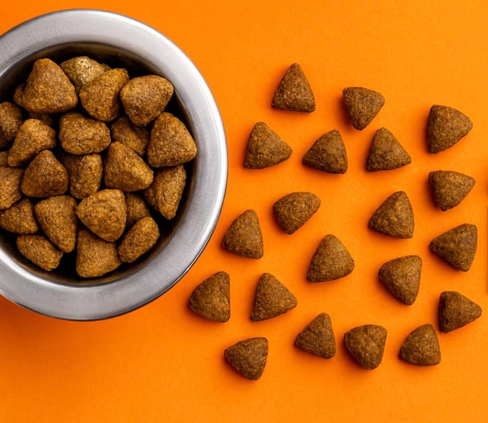 Корм BUDDYFOOD для собак больших и средних пород с индейкой 10 кг (7474117) - фото 2 Корм BUDDYFOOD для собак больших и средних пород с индейкой 10 кг (7474117) - фото 2