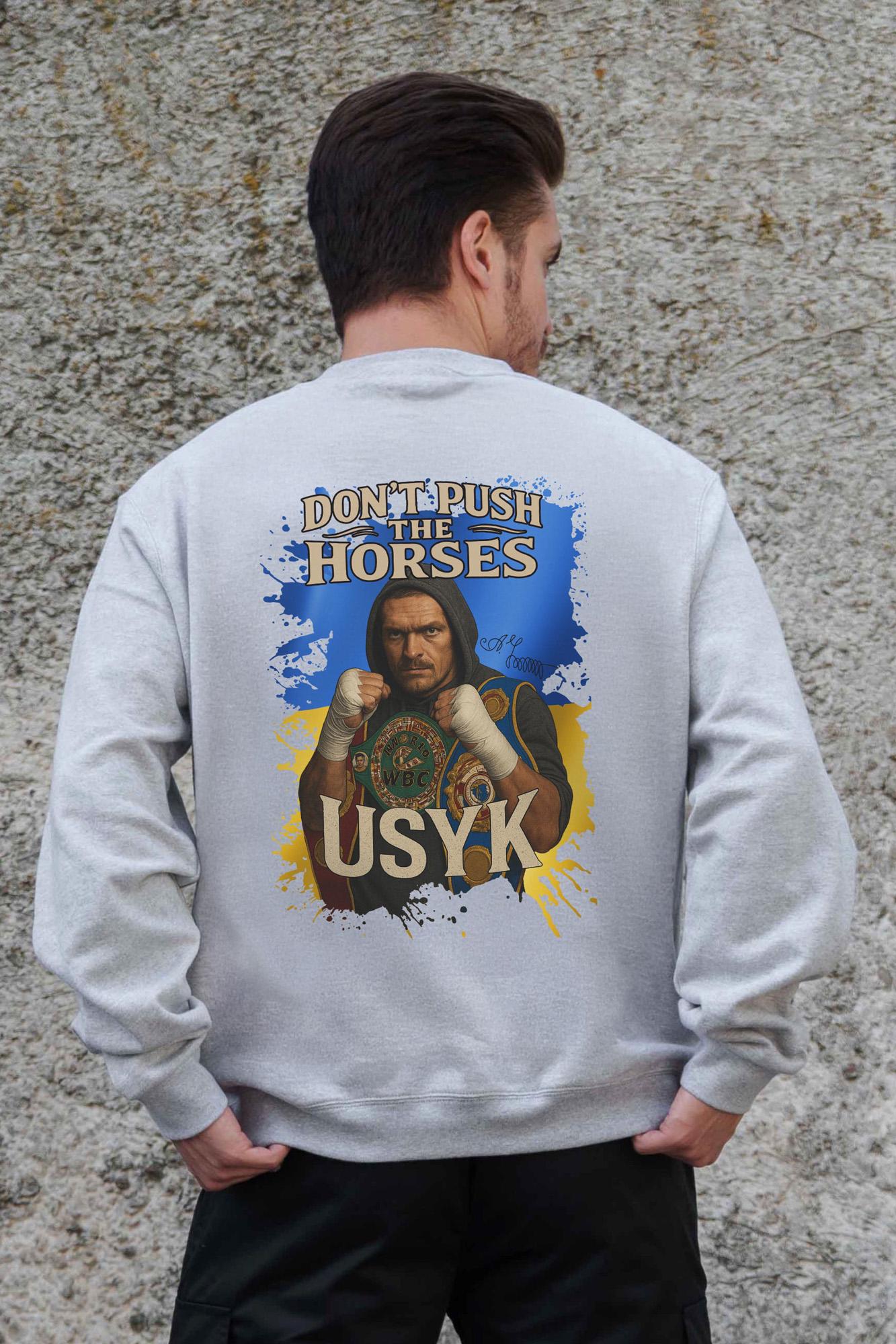 Свитшот оверсайз Without Dont Push The Horse L/XL Grey (L/XL8055708)