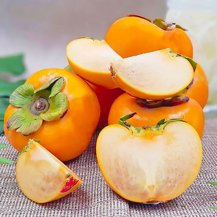 Саженец хурмы Прок двухлетняя самоплодная ранняя морозостойкая (1123993204) - фото 2