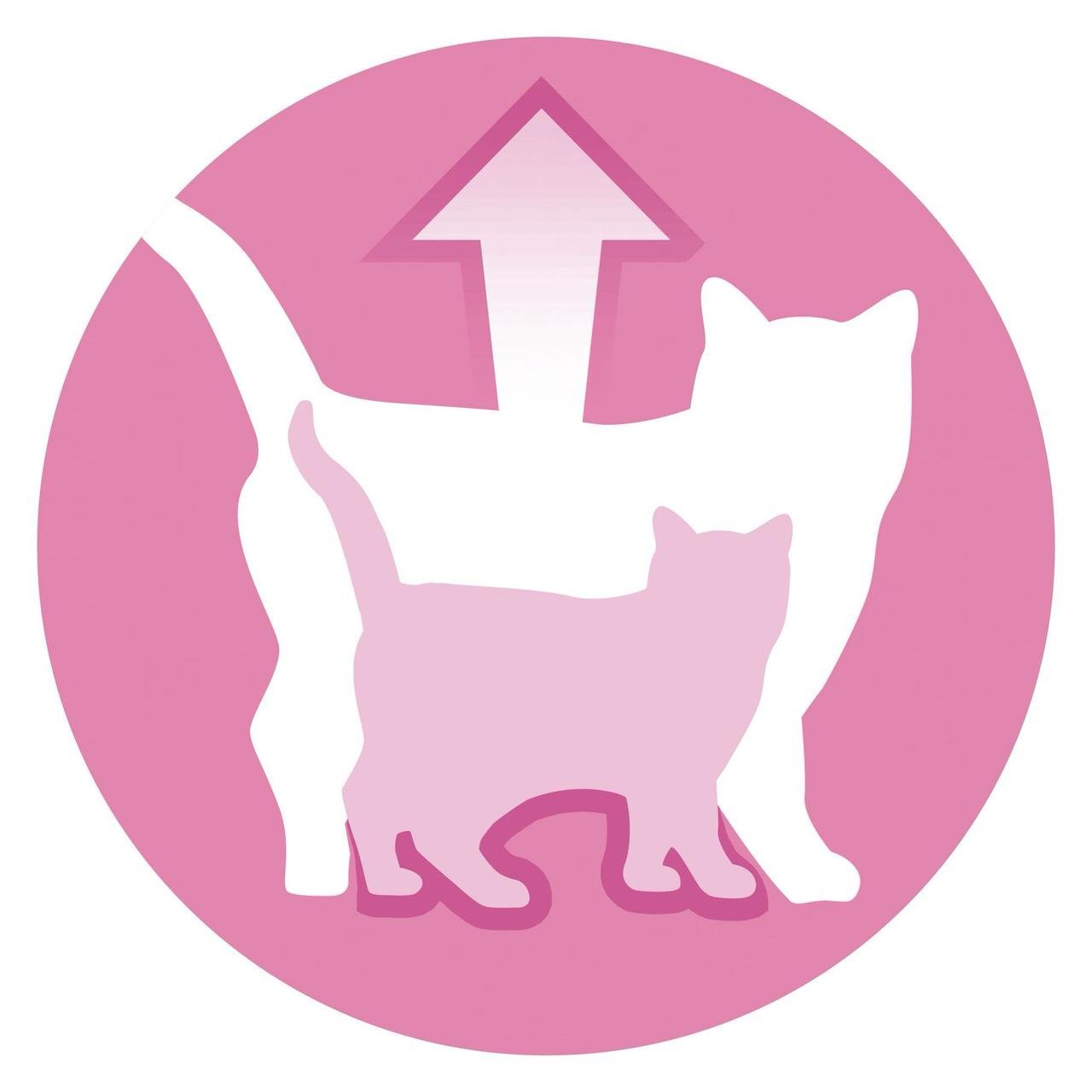 Вологий корм для кошенят Purina One Junior з лососем та морквою 85 г (7613038224466) - фото 4