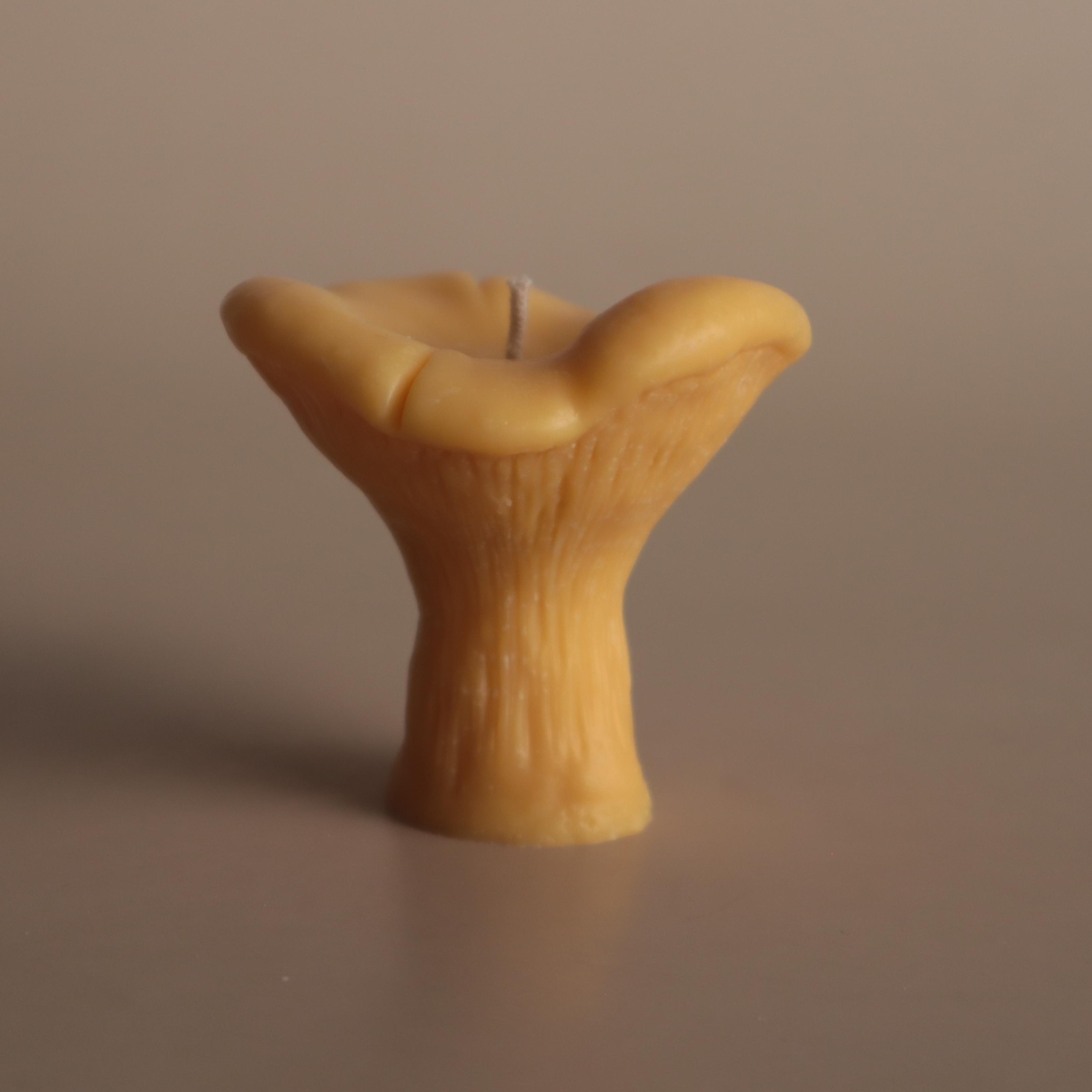 Аромасвічка соєва Wax Harmony Ваніль Лисичка 40 г (1000631) Аромасвічка соєва Wax Harmony Ваніль Лисичка 40 г (1000631)