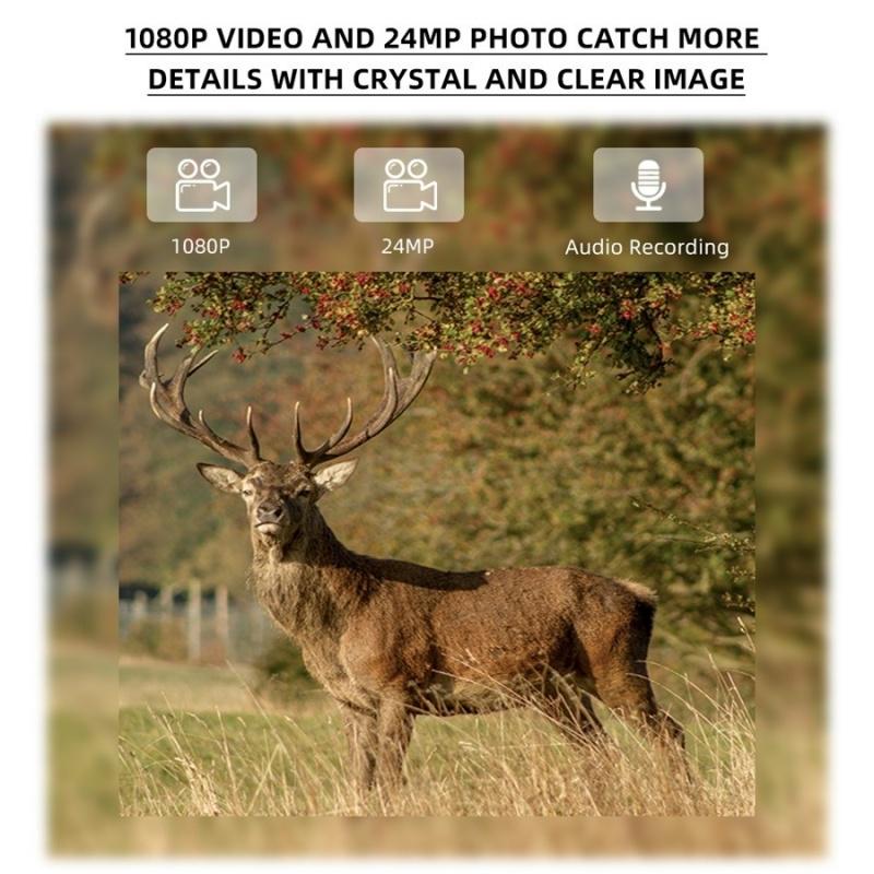 Камера фотоловушка Redleaf RD3069G 24MP/1080P 80° с поддержкой 4G (1480453286) - фото 4 Камера фотоловушка Redleaf RD3069G 24MP/1080P 80° с поддержкой 4G (1480453286) - фото 4