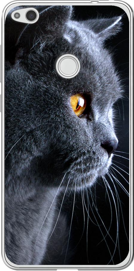 Чехол на Huawei P8 Lite (2017) Красивый кот (3038t-777-42517) Чехол на Huawei P8 Lite (2017) Красивый кот (3038t-777-42517)