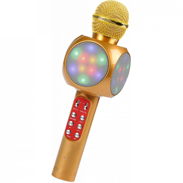 Микрофон Wster WS-1816 Золотой (11816MK03141)