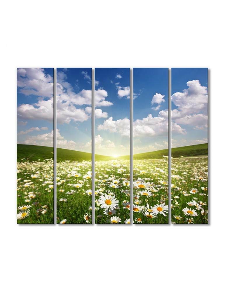 Картина модульная Ромашковое поле 5 модулей 90x135 см