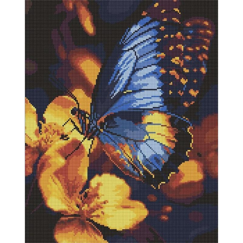 Алмазна мозаїка Ideyka Мерехтіння крил 40x50 см (AMO8287)