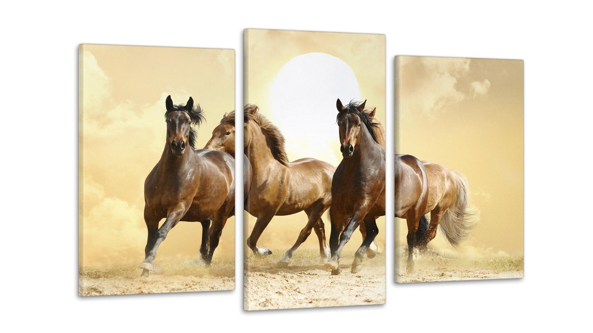 Модульная картина Лошади 53x100 см (Art-119_3)