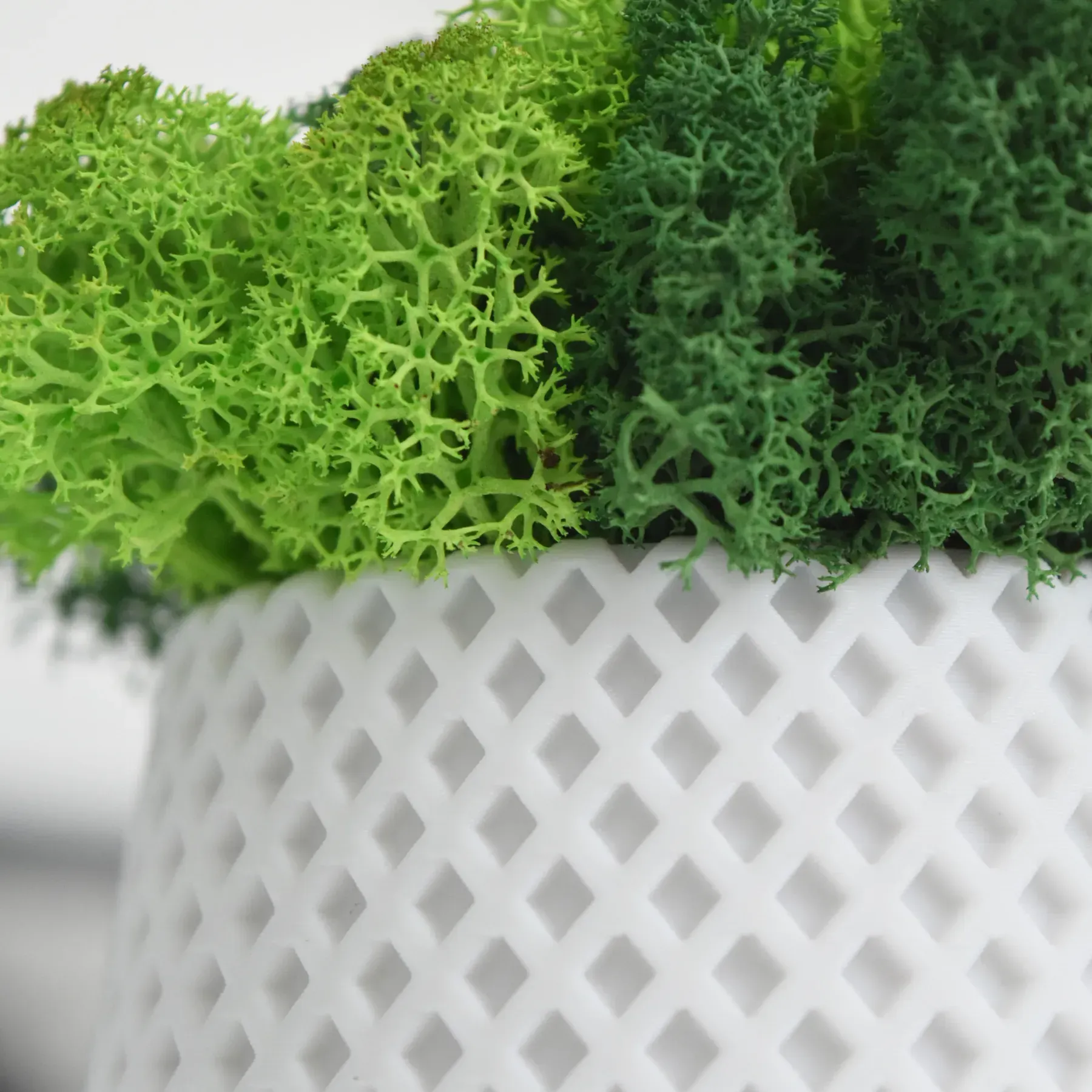 Кашпо Loft на чорних ніжках з стабілізованим мохом Білий/Зелений/Салатовий (KM-B-5) - фото 4 Кашпо Loft на чорних ніжках з стабілізованим мохом Білий/Зелений/Салатовий (KM-B-5) - фото 4