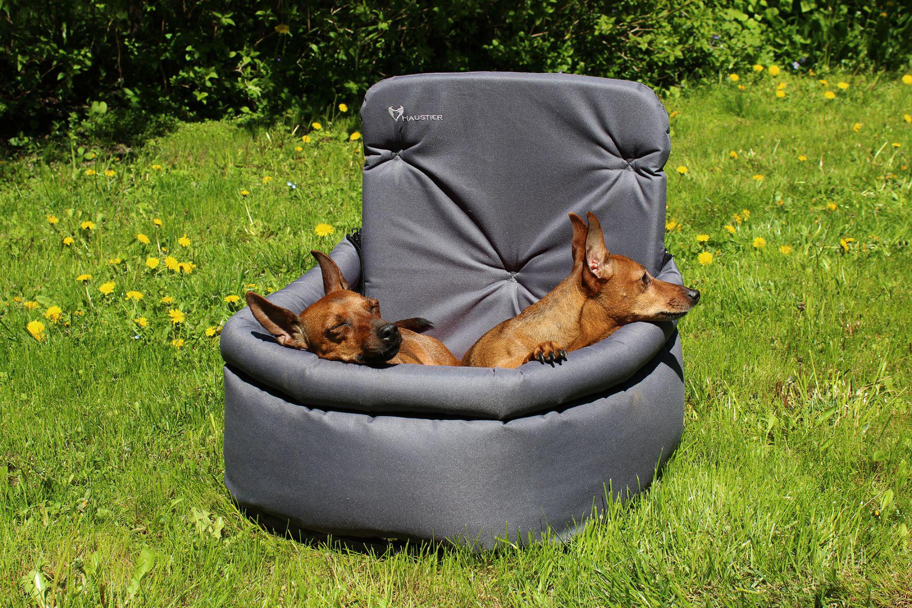 Автокрісло для Собак Haustier Happy Travel Gray S 40x40x20x45см (HT2-1-023) - фото 4 Автокрісло для Собак Haustier Happy Travel Gray S 40x40x20x45см (HT2-1-023) - фото 4