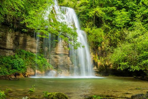 Картина на холсте Природа 30х40 см (PR267)