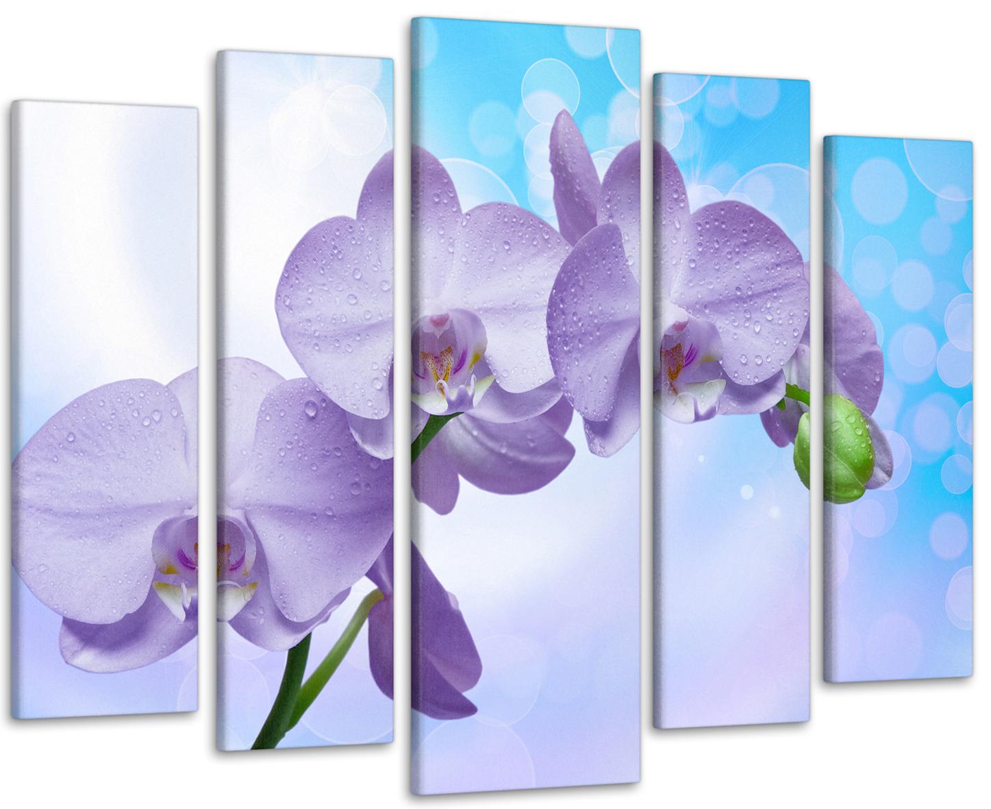 Картина модульная Орхидея 110х160 см (Art-306_5)