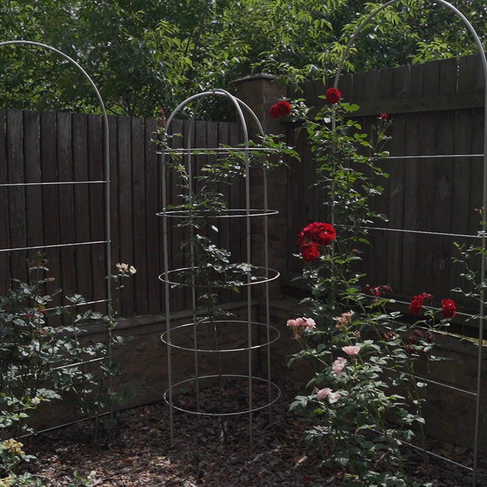 Опора для растений арочно-кольцевая на пять колец 2400х700х700 мм (АКО-D16/D8-2400*700/5) - фото 9 Опора для растений арочно-кольцевая на пять колец 2400х700х700 мм (АКО-D16/D8-2400*700/5) - фото 9