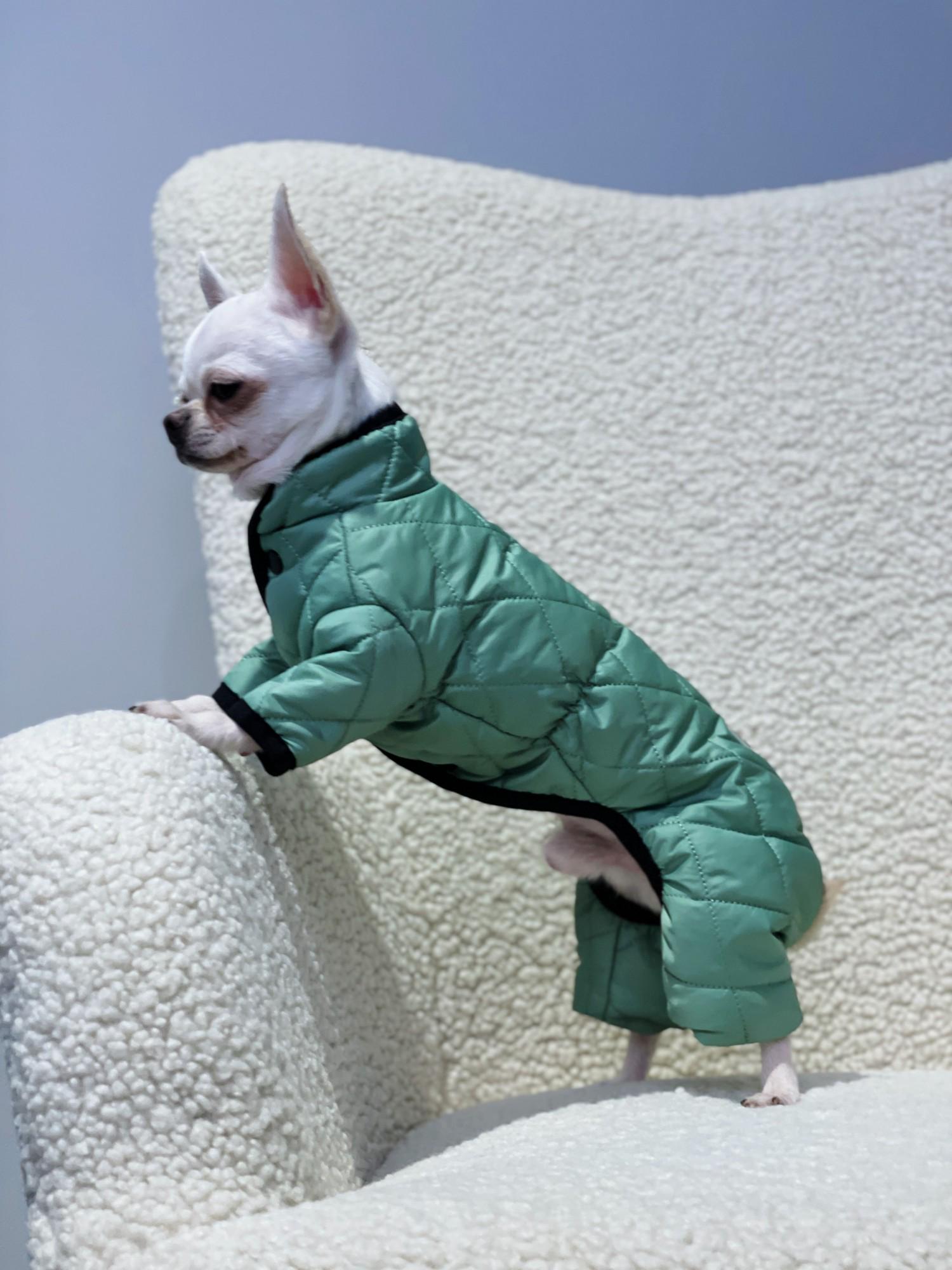 Комбинезон для собак двухсторонний AS-6 стеганый р. 8 Мятный (70579698)