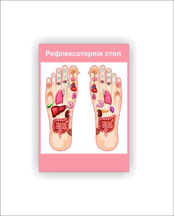Плакат Vivay "Схема рефлексотерапии стоп" 30х40 см (25787262) - фото 1 Плакат Vivay "Схема рефлексотерапии стоп" 30х40 см (25787262) - фото 1