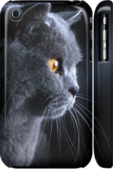 Чехол на iPhone 3Gs Красивый кот (3038c-34-42517)