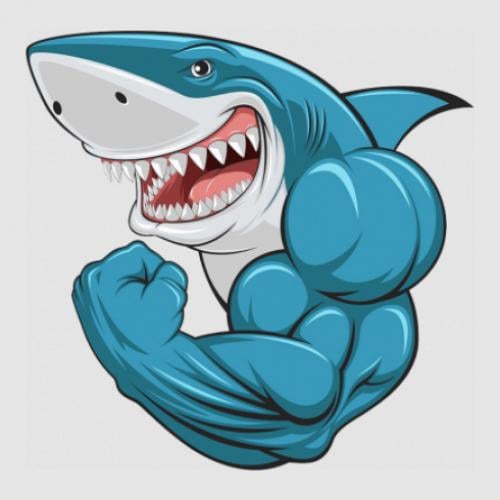 Стикер Gym Shark Muscles 5x4,9 см (27511854)