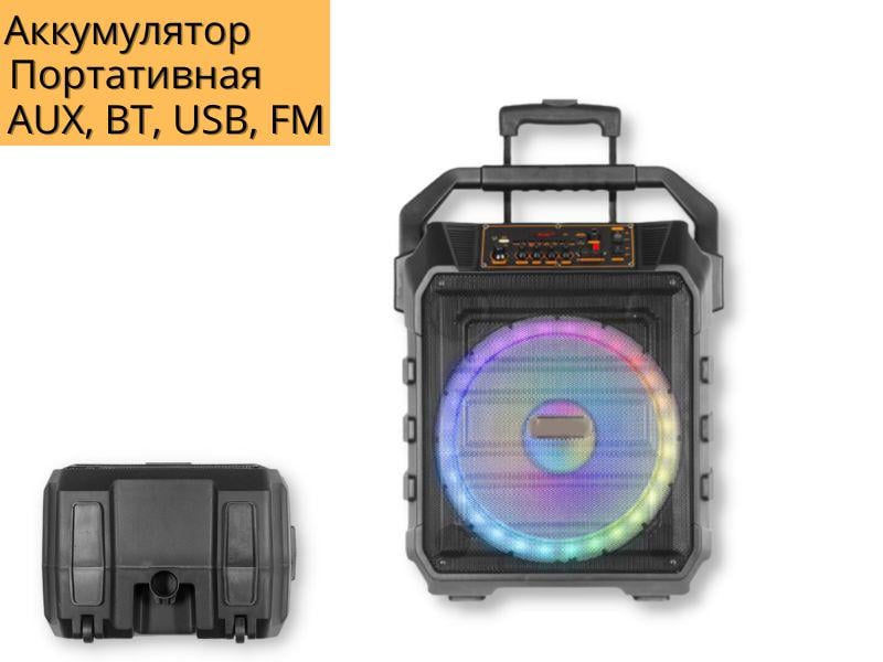 Акустическая система XPRO UF-983 аккумуляторная 150 Вт USB/SD/FM радио/Bluetooth/микрофон/ДУ (UF-983) - фото 2