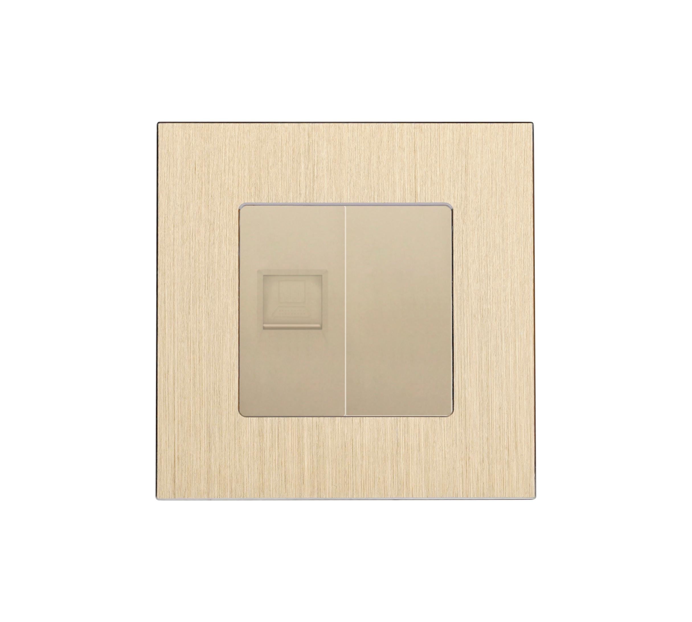 Розетка компьютерная WALLPAD RJ-45 настенная алюминиевая рамка Золотой (WP-CAT6BLK-GD)