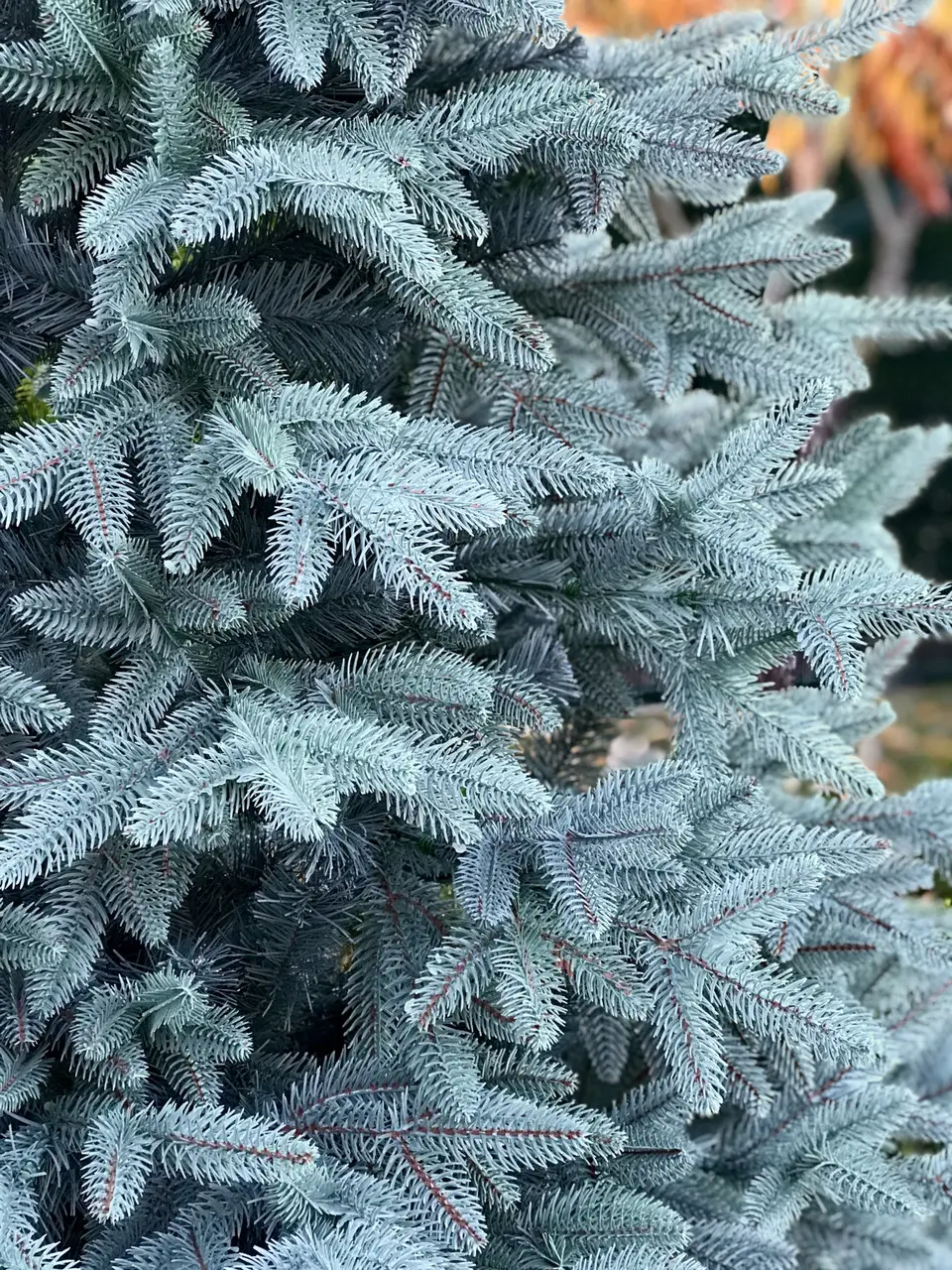 Елка искусственная HVOYA литая Classic Mix 260 см Голубой (210/260/B) - фото 3