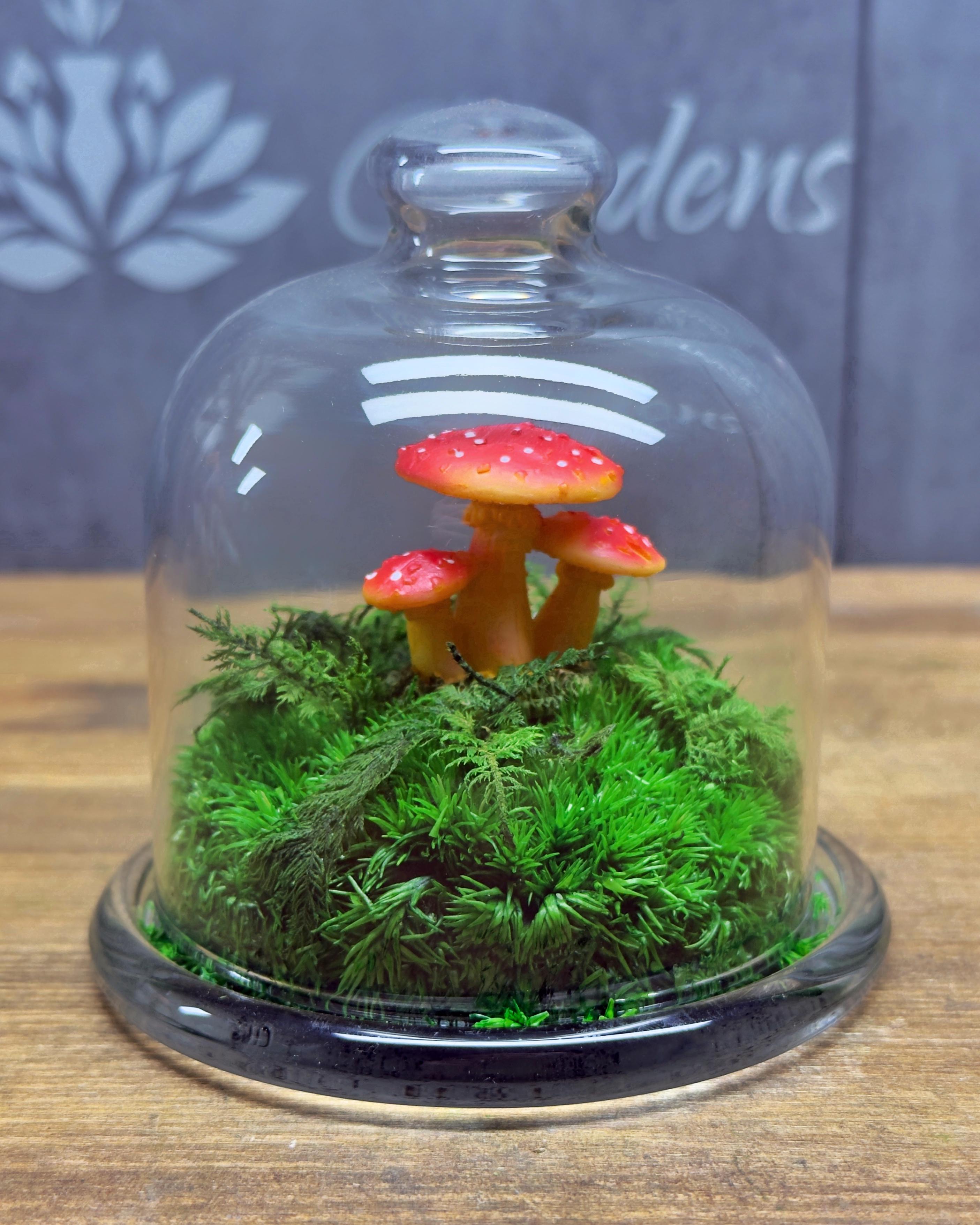 Флораріум з мохом та фігурками грибів 10х9 см
