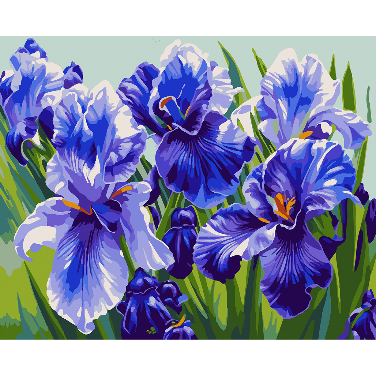 Картина по номерам Santi Ирисы 40х50 см (954501)