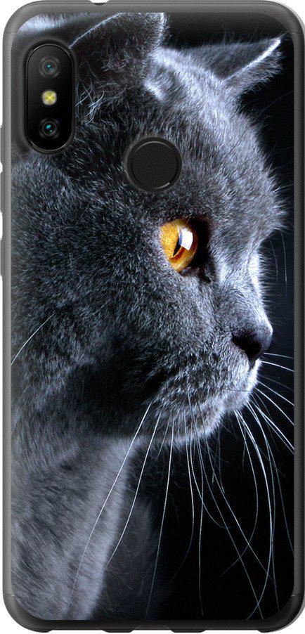 Чехол на Xiaomi Redmi 6 Pro Красивый кот (3038t-1595-42517)
