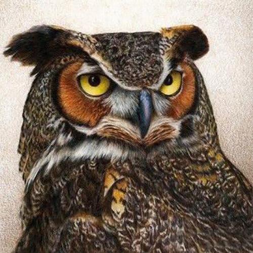 Алмазная мозаика на подрамнике Хищный взгляд 40x40 см (DM.066-pdr)