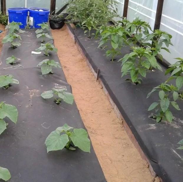 Геотекстиль GARDEN FLORA П-110 3,2x25 м Чорний (25244719) - фото 8 Геотекстиль GARDEN FLORA П-110 3,2x25 м Чорний (25244719) - фото 8