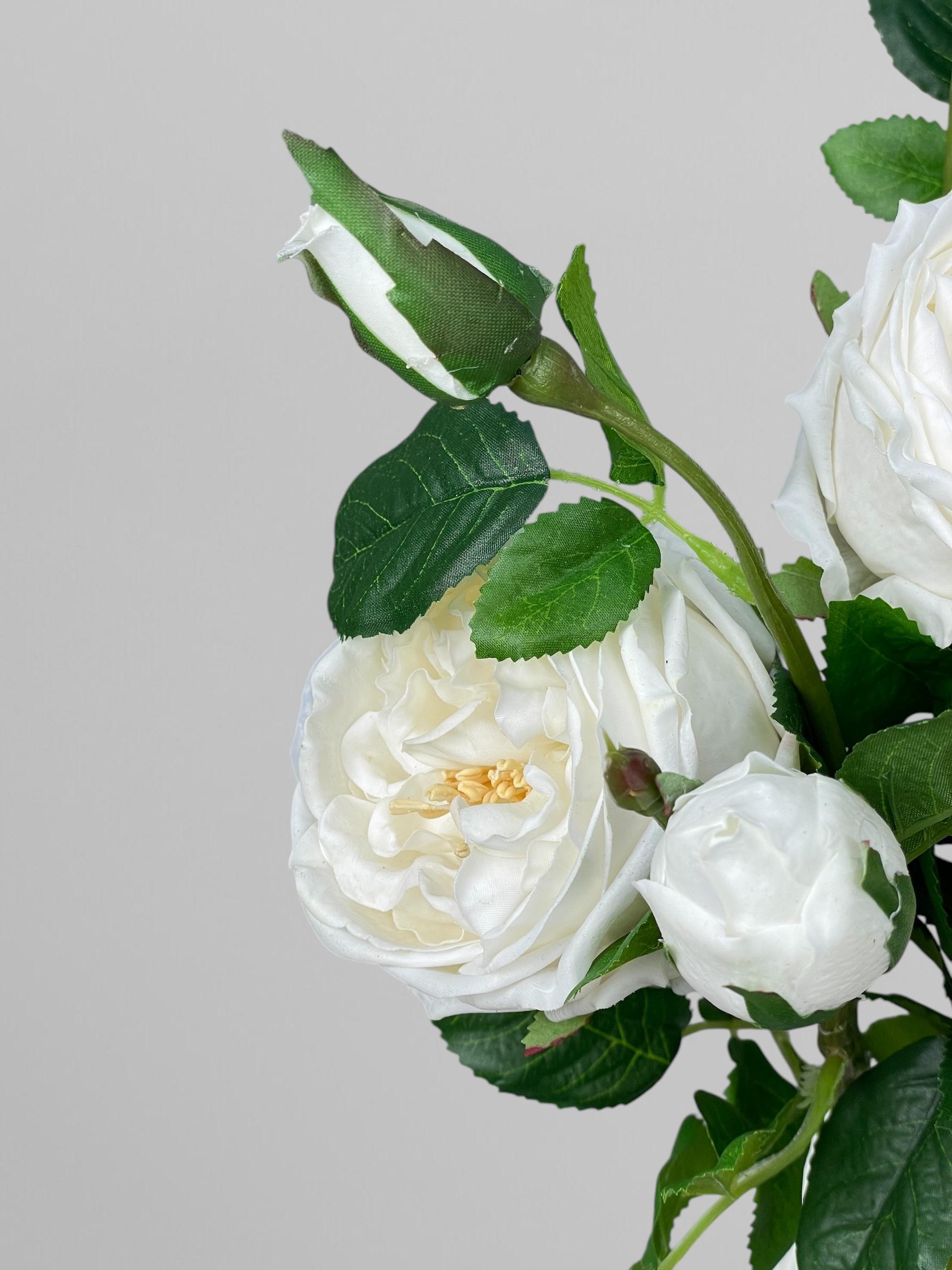 Штучна троянда Девіда Остіна на стеблі 72 см Білий (К02034) - фото 7 Штучна троянда Девіда Остіна на стеблі 72 см Білий (К02034) - фото 7