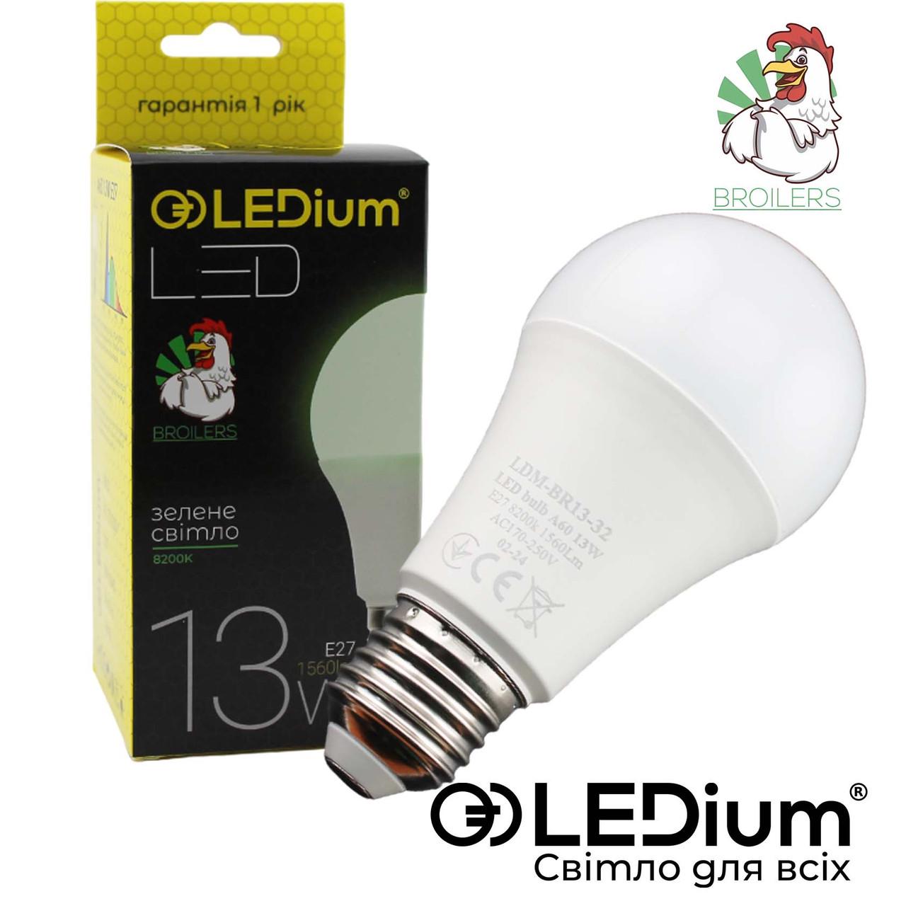 Лампа LEDium BROILERS 13W E27 A60 8200k 1560Lm IP65 (17474) - фото 2 Лампа LEDium BROILERS 13W E27 A60 8200k 1560Lm IP65 (17474) - фото 2
