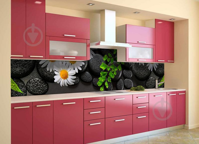 Скинали на кухню Zatarga «Ромашки и черные Камни» 600х2500 мм виниловая 3Д наклейка кухонный фартук Z180751