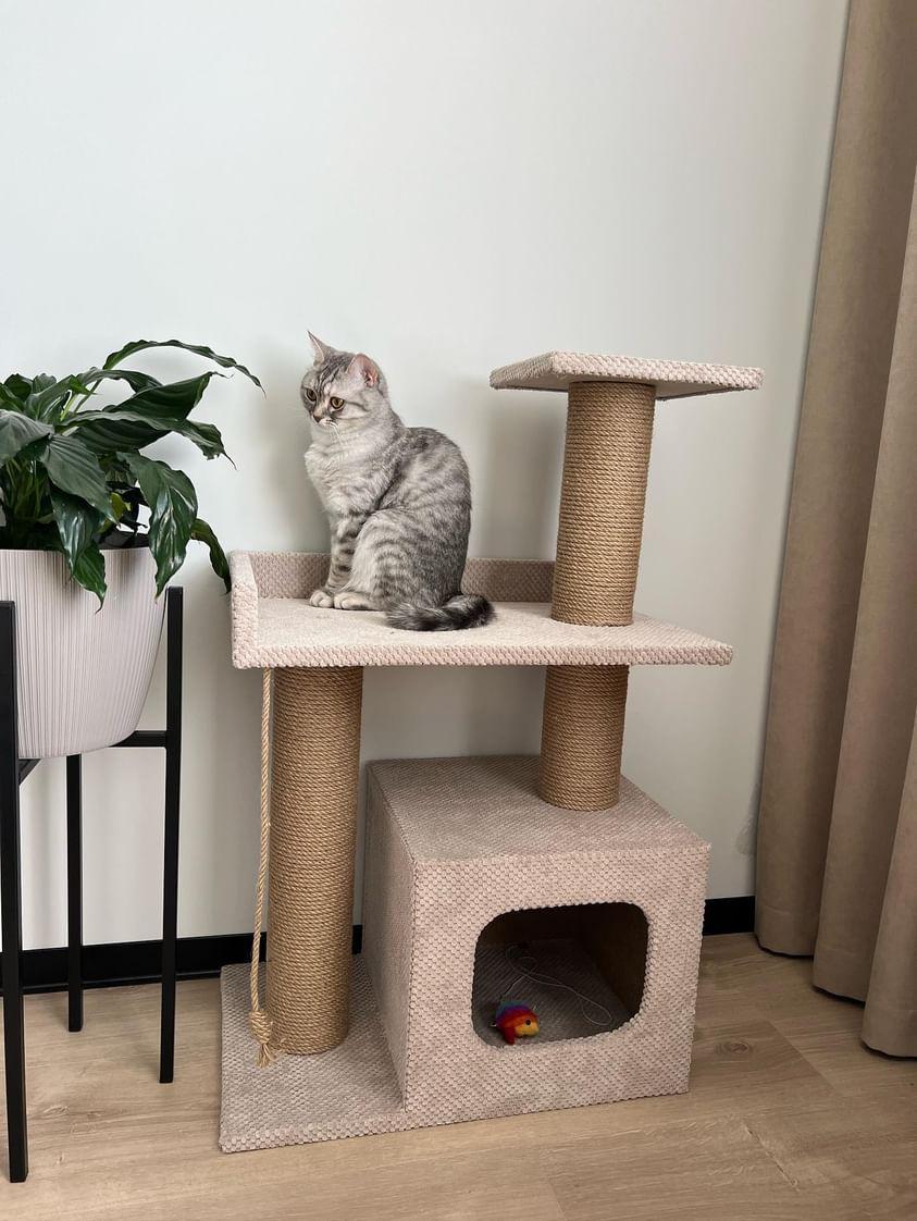 Кігтеточка з будиночком та лежанкою 85x55x35 см Бежевий (21706949) Кігтеточка з будиночком та лежанкою 85x55x35 см Бежевий (21706949)