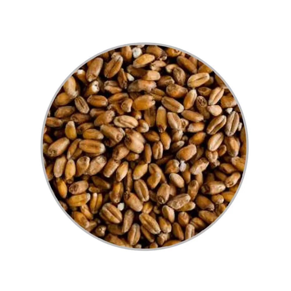 Солод пшеничный Wheat Dark EBC темный 15-20 1 кг