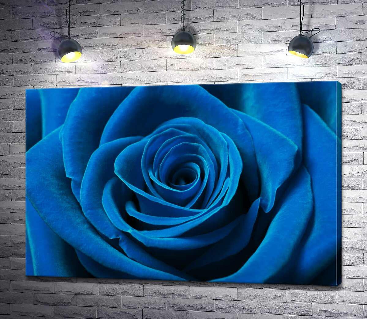 Картина ArtPoster Синий бархат лепестков розы 100x67 см Модуль №1 (002871)