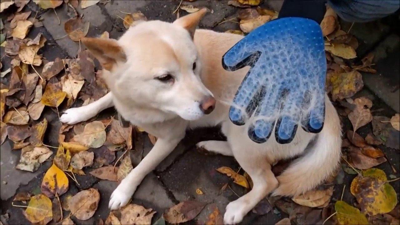 Перчатка для вычесывания шерсти True Touch Pet Glove (967) - фото 10