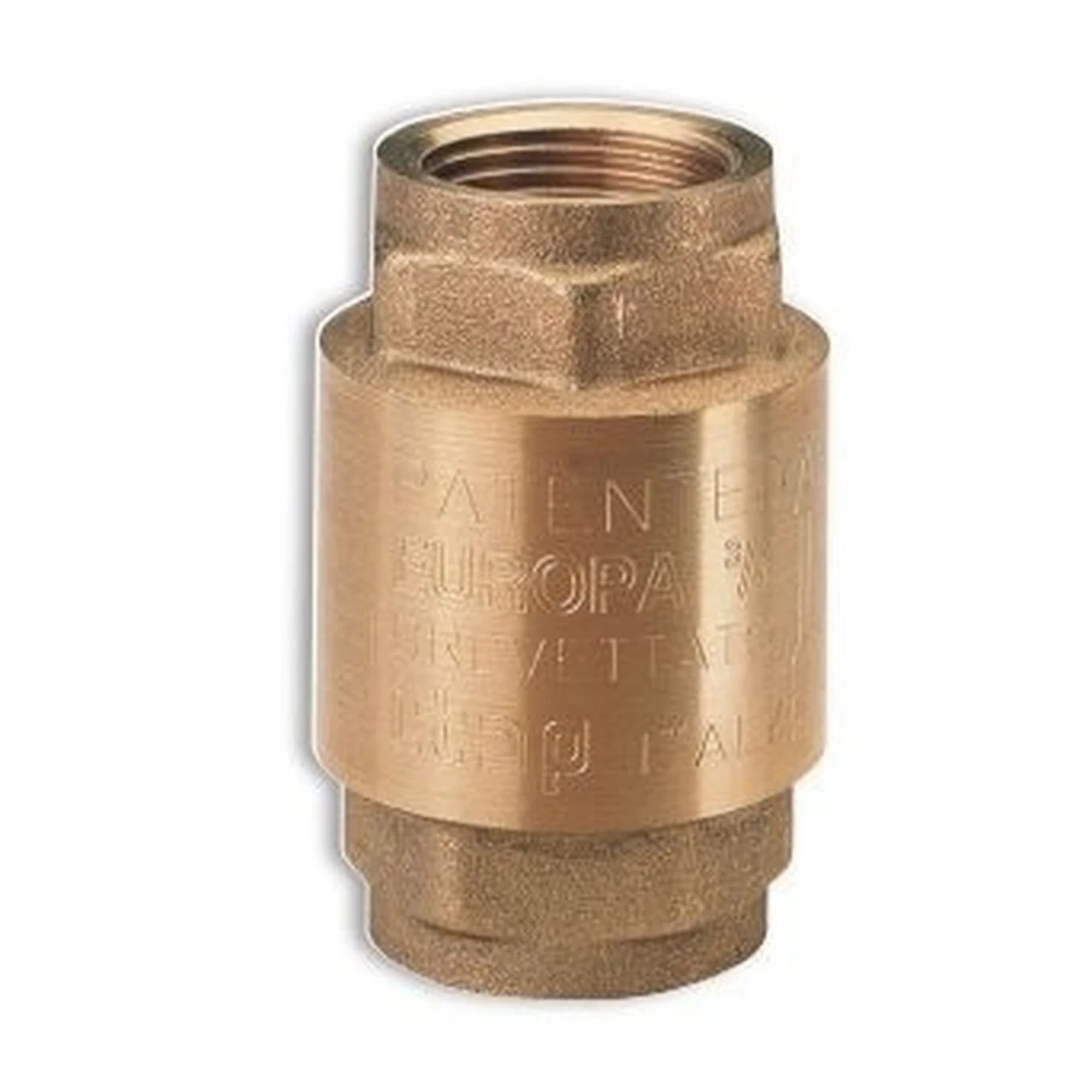 Клапан обратного хода воды ITAP 1" 100 (1200000141)