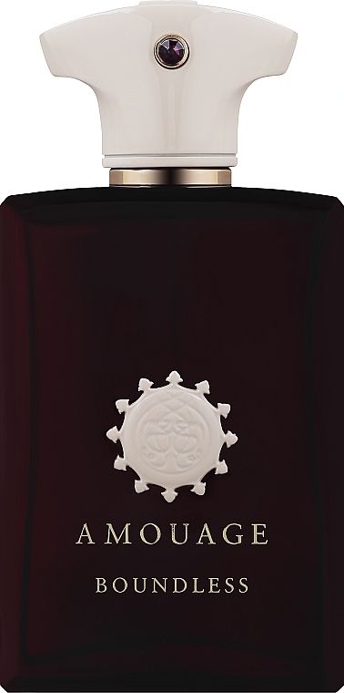Парфюмированная вода Amouage Boundless Man 100 мл (2255_3964)