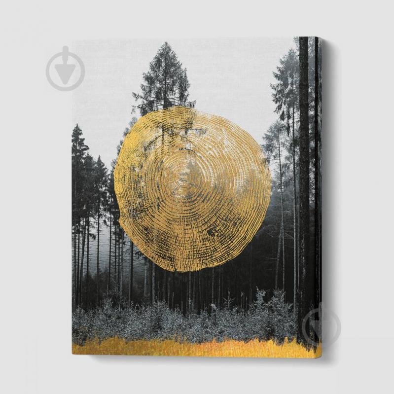 Картина Отпечаток природы Malevich Store 75x100 см (P0426)