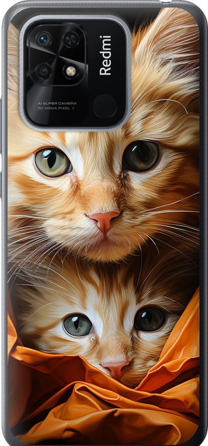 Чехол на Xiaomi Redmi 10C Котики 2 (5664t-2591-42517)