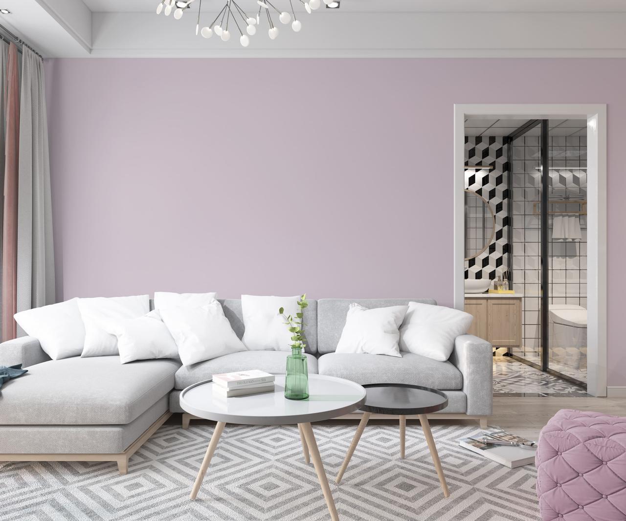 Краска интерьерная латексная Skyline 1510-R20B 1 л Припыленная лаванда (650c0cc54bc23147a0718a23) - фото 3