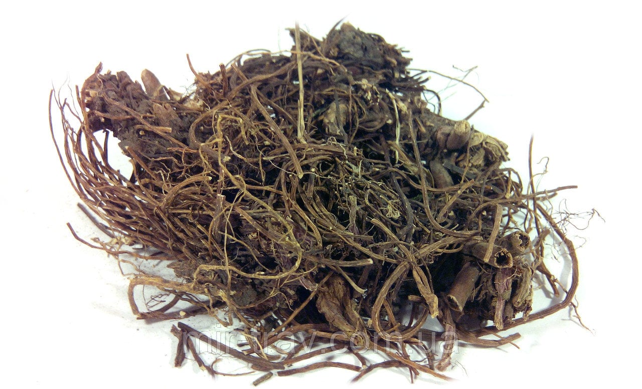 Гравилат корень Карпаты 50 г (6076d9d8558ede3c57318ca2)
