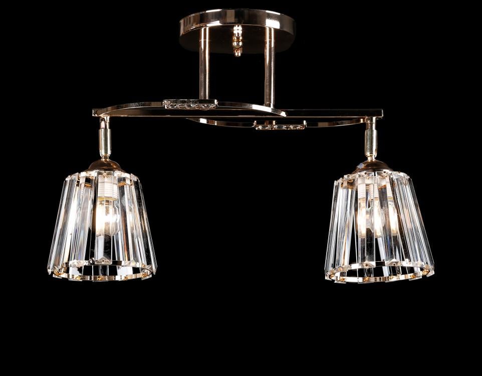 Люстра с плафонами Ray L9353A/2 FGD (IR006036)