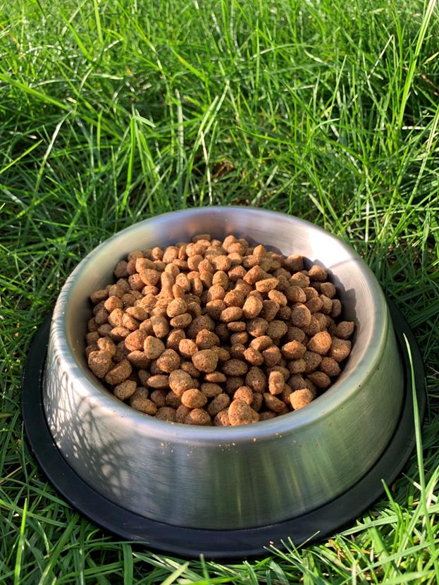 Корм сухой для щенков всех пород Пан Пес Юниор со вкусом курицы 10 кг (4820111140305) - фото 2