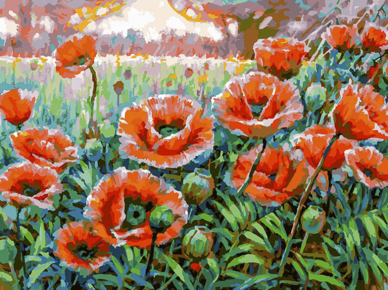 Картина по номерам Маковое поле 50x40 см (РНК-339)