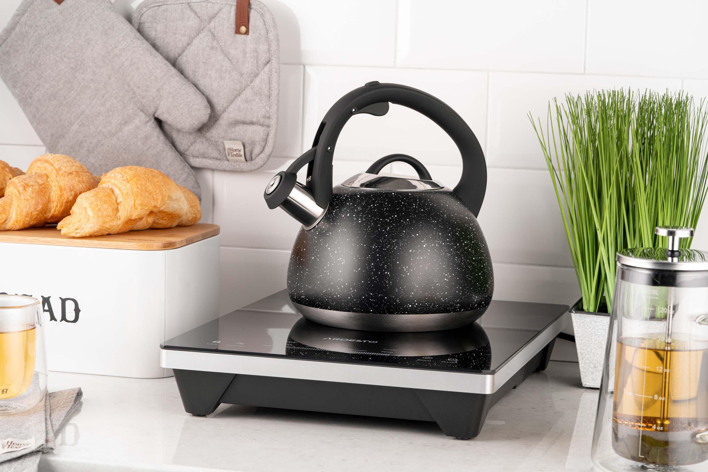 Чайник Ardesto Gemini 2,5 л Черный (30393097) - фото 2