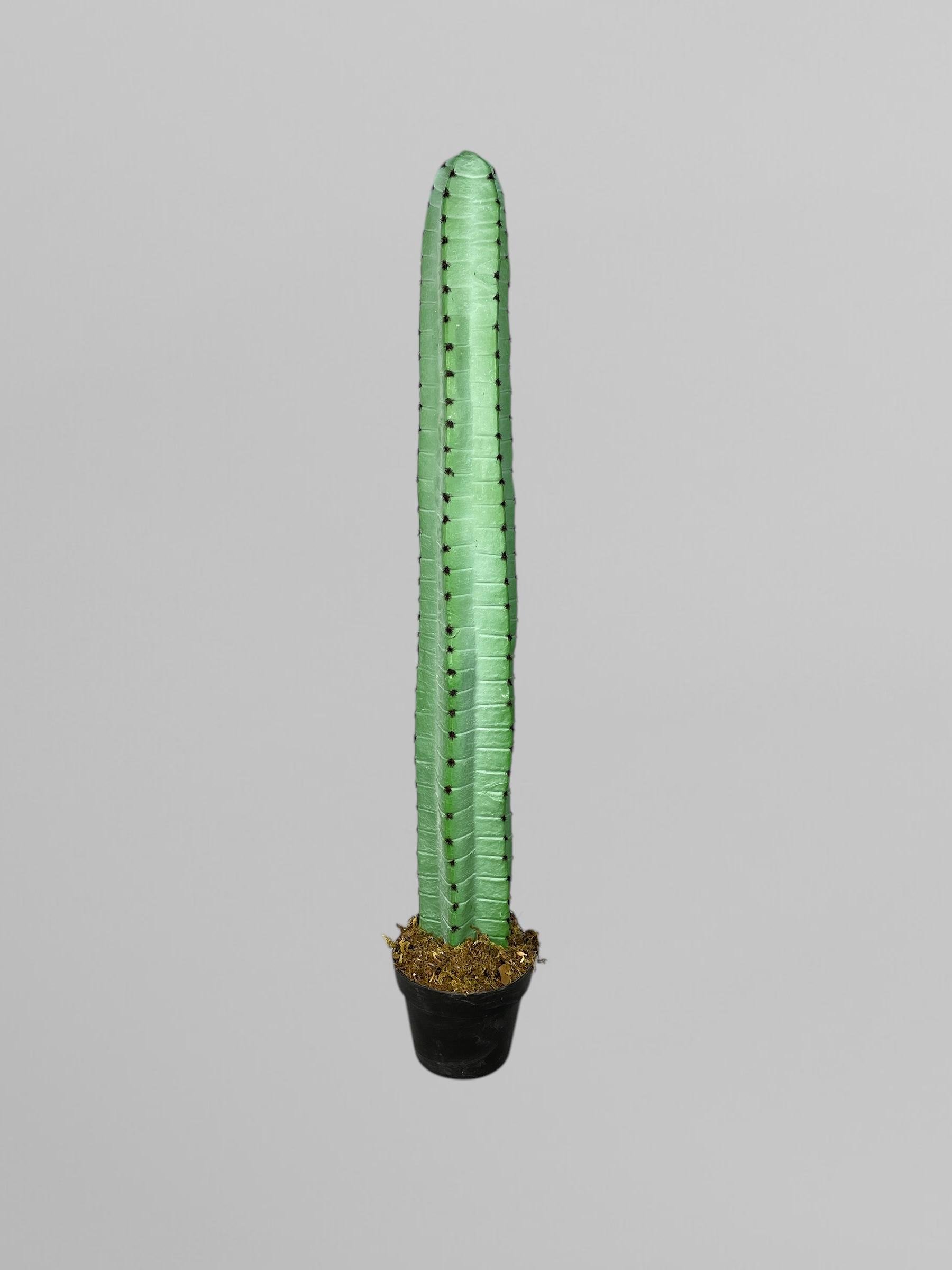 Искусственный кактус 100 см Зеленый (Р06001) Искусственный кактус 100 см Зеленый (Р06001)